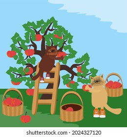cute cats in the garden picking red apples 