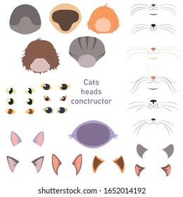 Cute cats heads breed constructor. You can create your own kitten breed. Change color, eyes, noses, types of coat. Vector illustration
