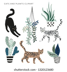 Cute cats and house plants on the white background. Vector clipart. Pets and green florals in the pots. Nature elements. Digital illustration with animals