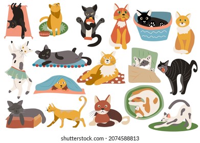 Cute cats isolated elements set. Bundle of kittens lying, sitting, sleeping, playing, expression of emotions and scenes of domestic animals. Creator kit for vector illustration in flat cartoon design