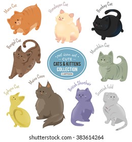 Cute cats and kittens icons. Vector cat. Cat illustration. Flat cat. Cat sign. Comic cat. Funny cat. Cat pet. Cartoon cat. Drawing cat. Cat design. Cat isolated Different cat. Adorable cat. Bright cat