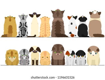 cute cats looking up and down border set