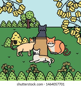 cute cats mascots adorables in the park