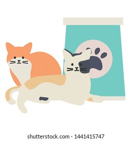 cute cats mascots with paper bag food