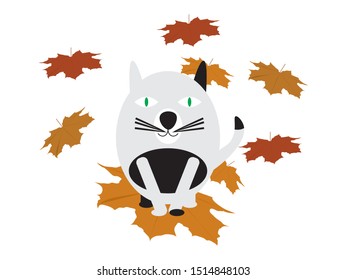 Cute Cats On Brown Fall Leaves