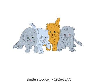 cute cats on white background