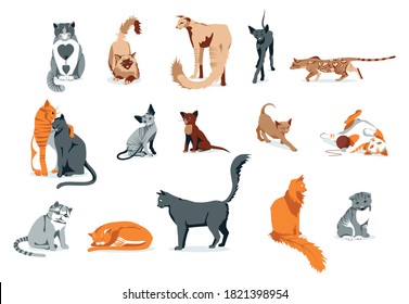 Cute cats pet animals set. Adorable domestic animals of different breeds. Siamese, oriental, bengal, sphynx cats cartoon vector illustration isolated on white background