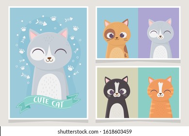 cute cats pet differents character feline character cartoon vector illustration