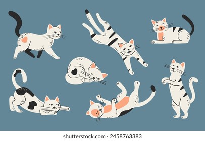 cute cats. pets in different poses, happy joyful fluffy kitten set, comic lovely meow animals. vector cartoon characters set.