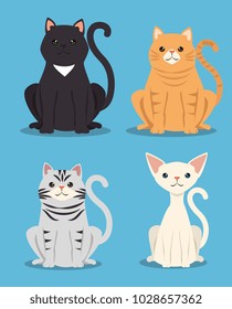 cute cats pets friendly