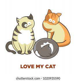Cute cats pets or kittens playing or posing vector flat icons