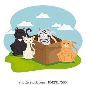cute cats pets in landscape characters