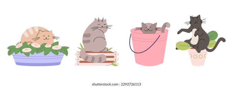 Gatos en macetas de plantas y cubo. Divertido gatito vándalo y destructor. Animales domésticos, mascotas durmiendo en jarrón y caja de madera. Caracteres vectoriales de dibujos animados