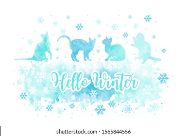 Cute cats play with snowflakes. Hello winter inscription on blue watercolor splash background. Vector eps 10