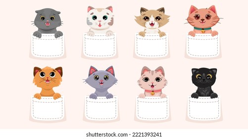 Cute cats in pocket set. Collection of pets sitting inside pocket. Funny and happy cartoon kitten characters for t-shirt design, baby printing. Vector cartoon illustration