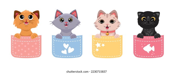 Cute cats in pockets. Kawaii funny and happy kittens for t-shirt design, kids printing, baby shower invitation. Vector cartoon illustration