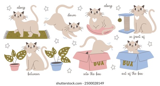 Cute cats preposition of direction with different objects examples set for education and games. Funny adorable kitten activity infographics to learn english grammar school vector illustration