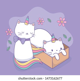 cute cats with rainbow tail and carton box kawaii characters