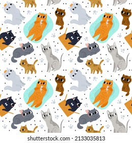 Cute cats seamless pattern. Different breeds kitties. Funny pets and paw prints. Various poses. Kitten sitting in box or lying on pillow. Spotted or striped animals