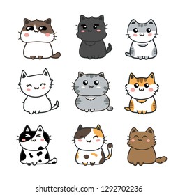cute cats set