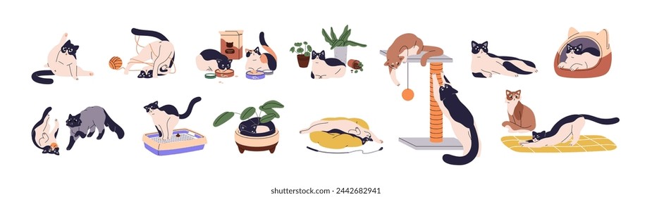 Cute cats set. Funny kittens play with toys, sleep, washing, stretching, scratching. Adorable kitties with pet supplies. Happy fluffy domestic animals. Flat isolated vector illustrations on white