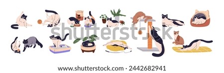 Cute cats set. Funny kittens play with toys, sleep, washing, stretching, scratching. Adorable kitties with pet supplies. Happy fluffy domestic animals. Flat isolated vector illustrations on white
