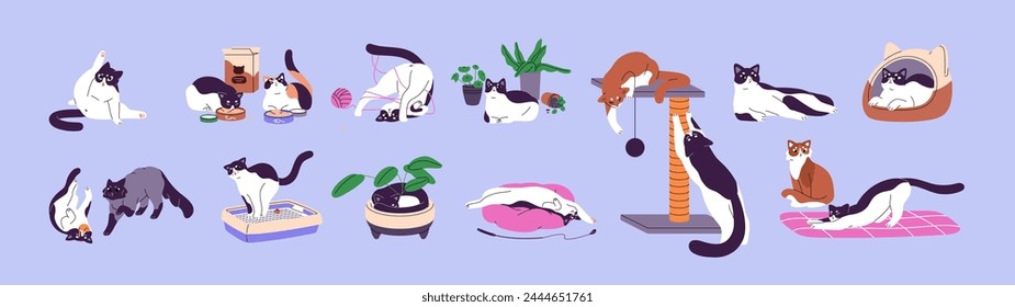 Lindos gatos. Felices gatitos juegan con juguetes, bola de hilo. Gracioso gatito duerme en planta de casa. Adorable mascotas mullidas comer, lavar, relajarse, estirar, rascar. Ilustraciones vectoriales aisladas planas