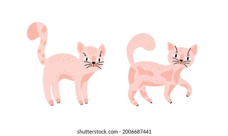 Cute cats. Set of pink cats. Cats isolated. Cute baby illustration for print, textile, fabric. Vector. Mustachioed muzzles, spotted color, pets. Scandinavian style. Feline domestic trendy pet. 