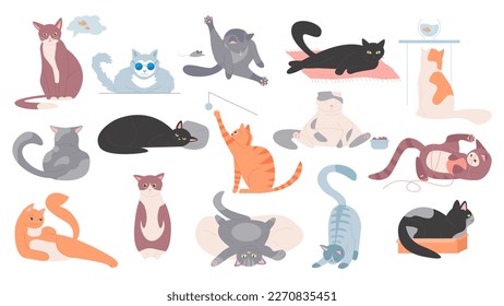 Cute cats set vector illustration. Cartoon funny pet with different action and poses collection, happy animals sleep and sit in box, lying fluffy kitty with amusing face, stretching and playing kitten