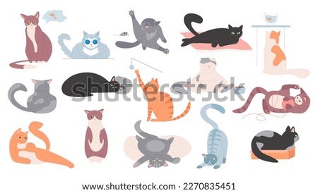 Cute cats set vector illustration. Cartoon funny pet with different action and poses collection, happy animals sleep and sit in box, lying fluffy kitty with amusing face, stretching and playing kitten