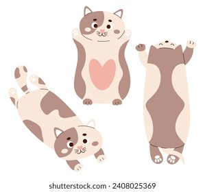 Cute cats. Soft large plush anti-stress cuddly oversized pillow toy. Comfortable animal to sleep and play. Isolated vector illustrations in flat style. Kids collection 