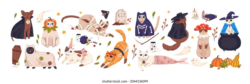 Cute cats in spooky Halloween costumes set  Funny   creepy feline animals in hats for autumn holiday dead  Scary kitties monsters  Colored flat vector illustration isolated white background