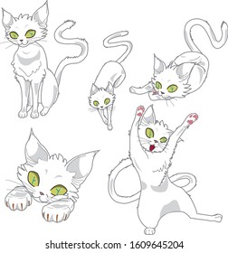 cute cats trying to catch your attention