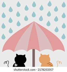 Cute cats under umbrella in rainny day.