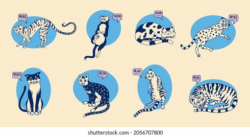 Cute cats in various poses against the background of the sun. Language differences. Funny Kitties. Onomatopoeic word for the miau or meow sound. 