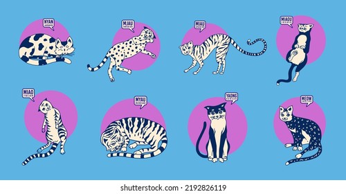 Cute cats in various poses against the background of the sun. Language differences. Funny Kitties. Onomatopoeic word for the miau or meow sound. 