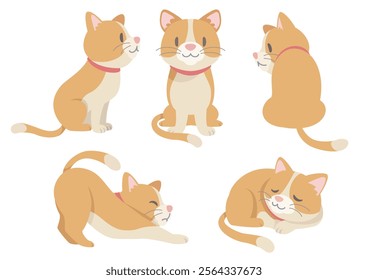 Cute cats in various poses. Vector illustration in flat cartoon style on white background.