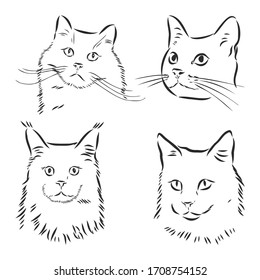 Cute cats. Vector illustration in black and white, portrait of a cat, cat head vector sketch illustration
