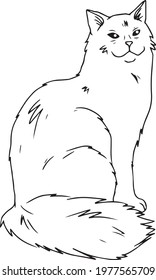 Cute cats. Vector illustration in black and white, portrait of a cat, cat head vector sketch illustration