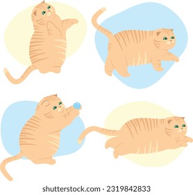 Cute cats. Vector illustration of funny fat cats