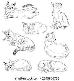  Cute cats vector illustration set, line drawing