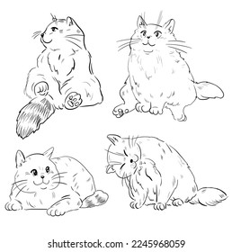 Cute cats vector illustration set, line drawing