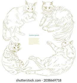 cute cats vector template for you text