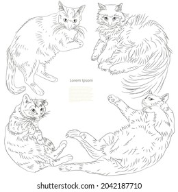 cute cats vector template for you text