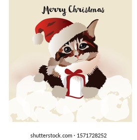 Cute cats wear red Christmas hats and hold presents at Christmas. Cartoon cat illustration