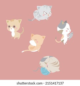 Cute cats who get angry, surprised, and sleep happily