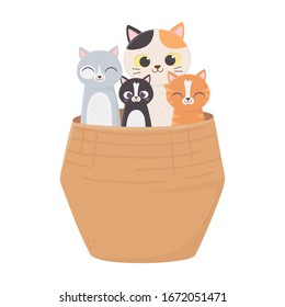 Cute Katzen im Korb, einzeln auf weißem Hintergrund. Vektorillustration