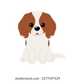 Cute Cavalier King Charles Spaniel dog isolated on white background. Vector flat illustration