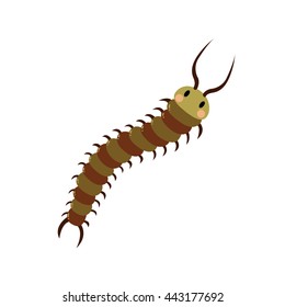 16,287 Centipede Images, Stock Photos & Vectors | Shutterstock
