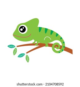 cute chameleon cartoon graphic vector illustration